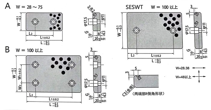 SESW(1).jpg